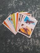 Lot autocollant animaux panini