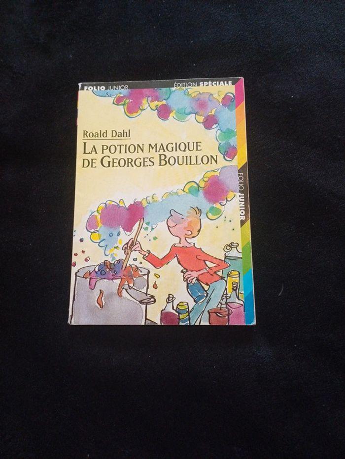 La potion magique de Georges Bouillon - photo numéro 1