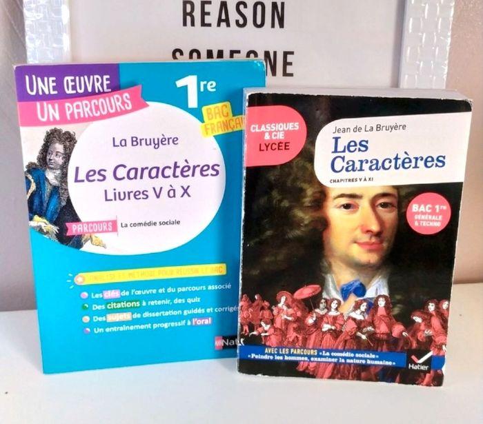 Lot Livre bac : Jean de la Bruyère, l'œuvre plus la méthodologie - photo numéro 1