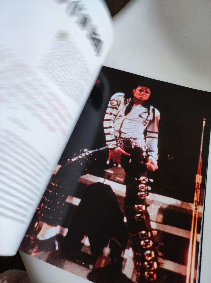 Livre hommage Michael for ever Hugo & Cie / Michael Jackson - photo numéro 9