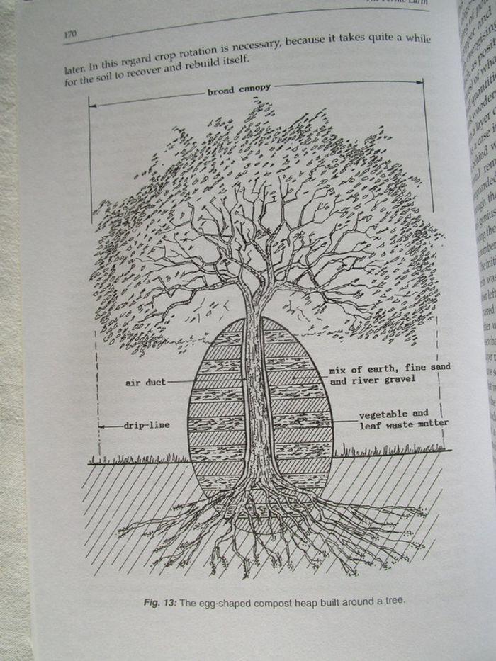 The Fertile Earth : Nature's Energies in Agriculture, Soil Fertilisation and Forestry - photo numéro 8