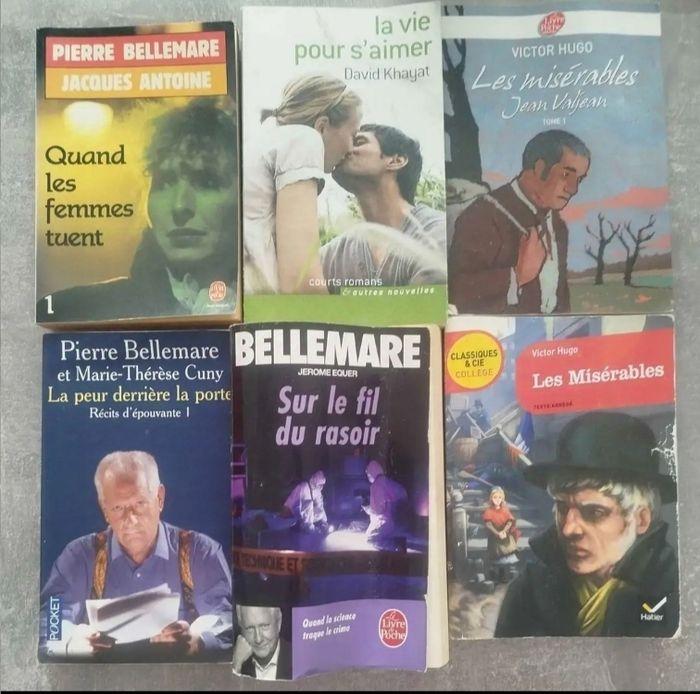 Lot de livre - photo numéro 1