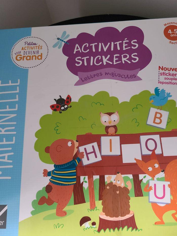 activités stickers - photo numéro 3