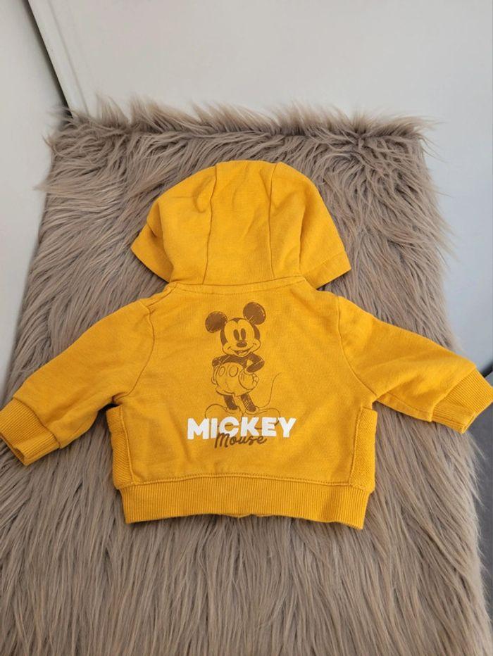 Joli gilet Mickey Disney 1 mois - photo numéro 4