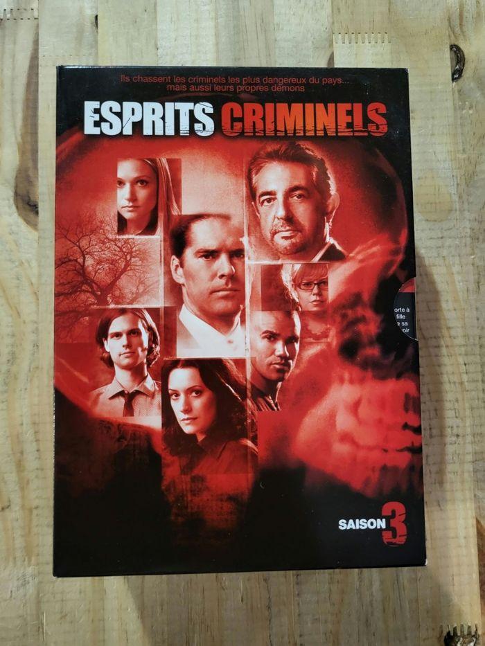 Esprits criminels dvd - photo numéro 4