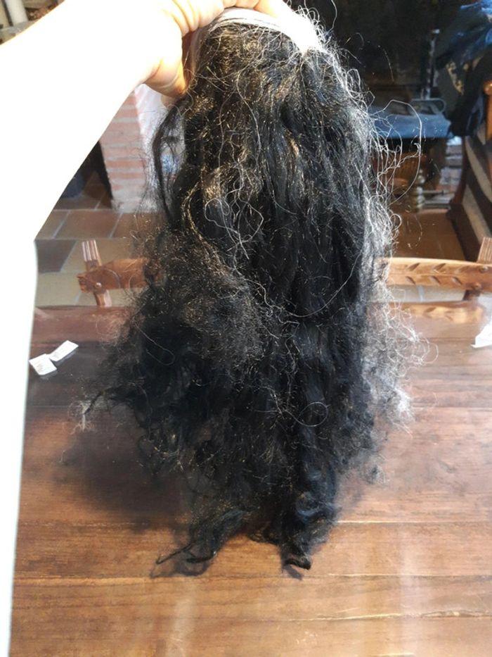 Perruque de sorcière  cheveux long noire et blanche  avec résille élastique - photo numéro 12