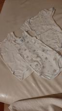 Lot de 3 body mixte ete coton