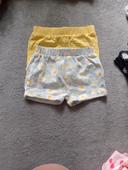 Lot short taille 12 mois