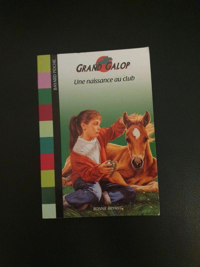 Lot 10 livres chevaux grand galop - photo numéro 14