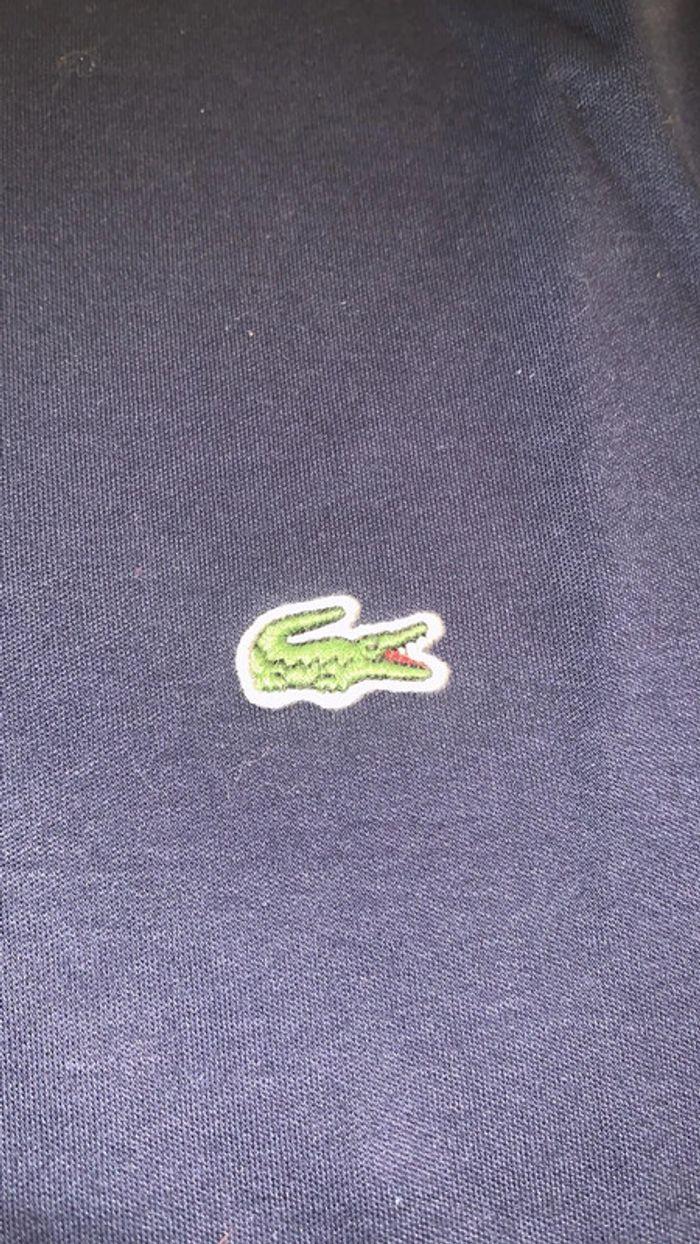 Polo Lacoste XS - photo numéro 3