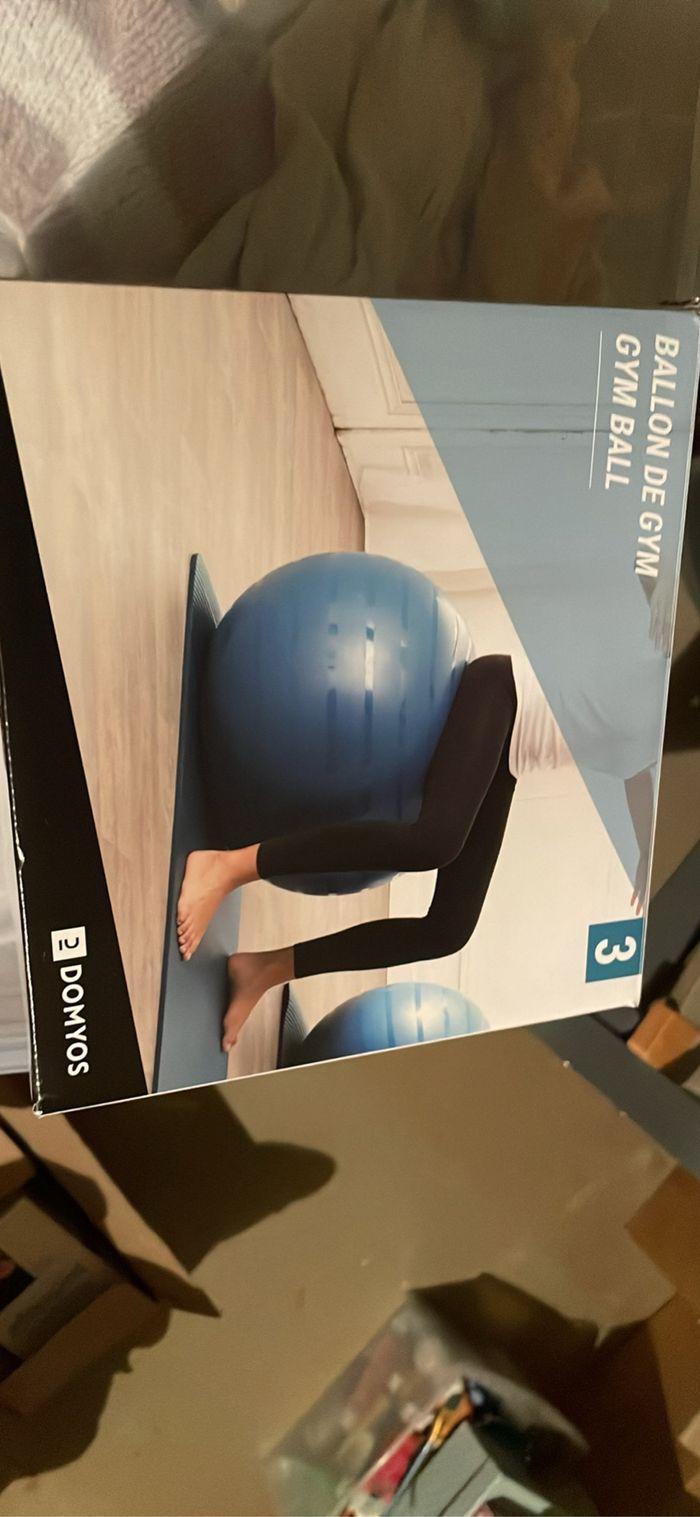 Ballon de gym - photo numéro 1