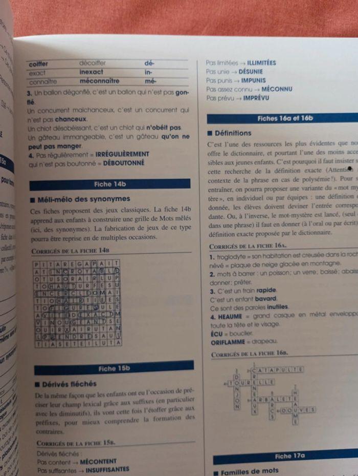 Fichier de vocabulaire CE2 Retz - photo numéro 12