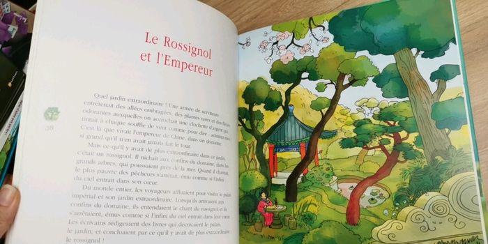 Livre de contes - photo numéro 2