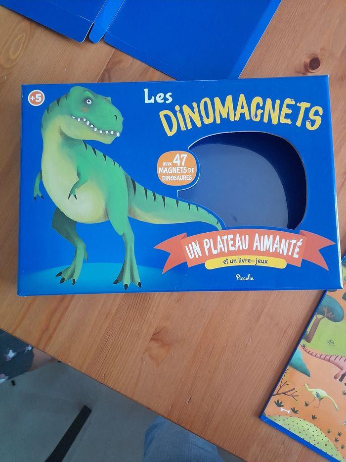 Jeu dinomagnets - photo numéro 2