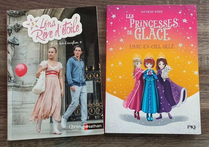 Lots de deux livres princesse parfait état