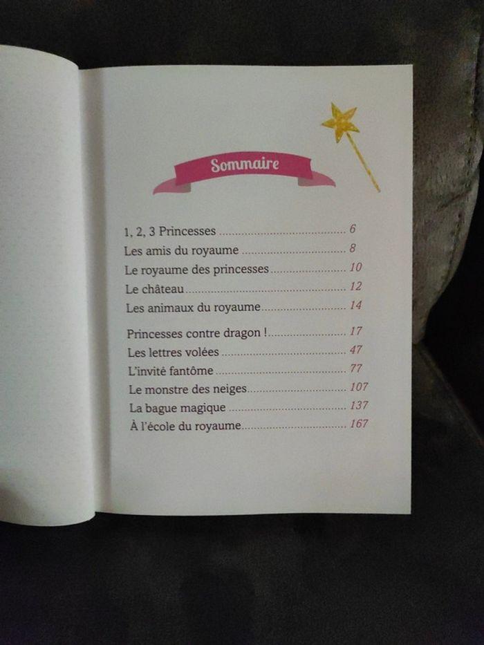 Livre mes histoires de princesses en excellent état général - photo numéro 5