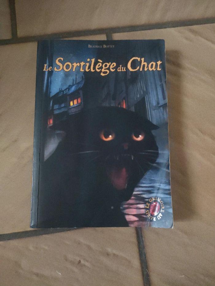 Histoire le sortilège du chat - photo numéro 1