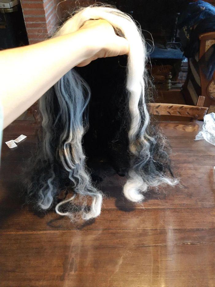 Perruque de sorcière  cheveux long noire et blanche  avec résille élastique - photo numéro 11