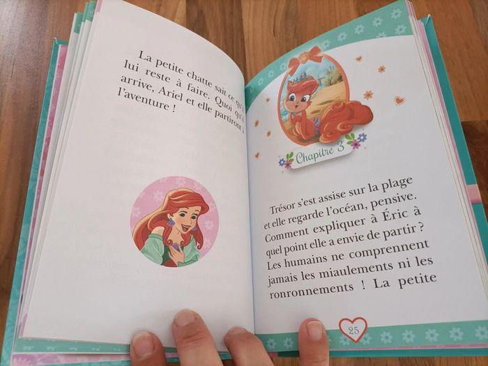 Livre Palace Pets tome 3-Trésor le chaton d'Ariel - bibliothèque rose - photo numéro 7