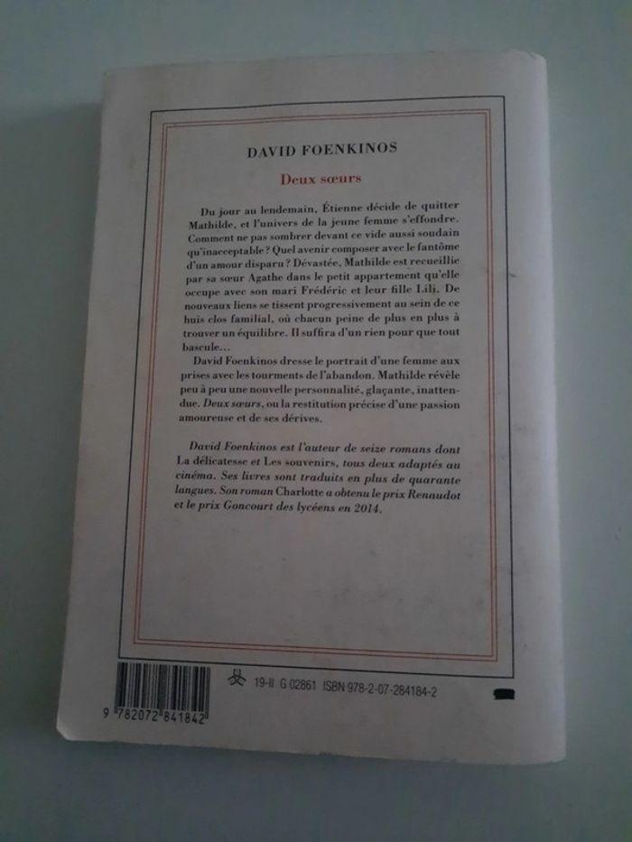 Livre: Deux sœurs de David Foenkinos - photo numéro 2