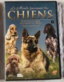 DVD "Le Monde fascinant des Chiens - Volume 5 : Le Husky, la légende Inuit"