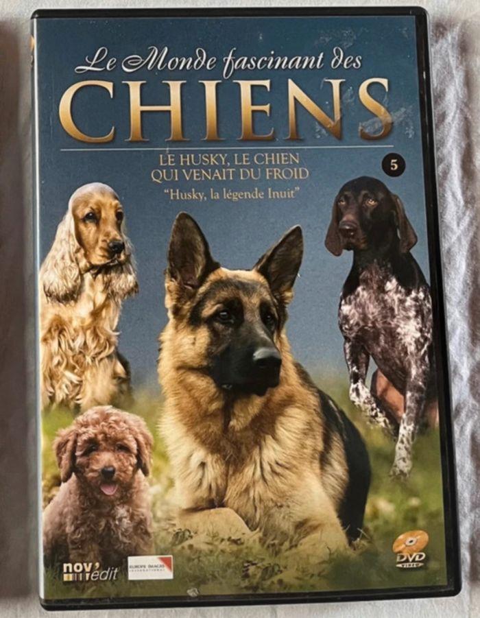 DVD "Le Monde fascinant des Chiens - Volume 5 : Le Husky, la légende Inuit" - photo numéro 1