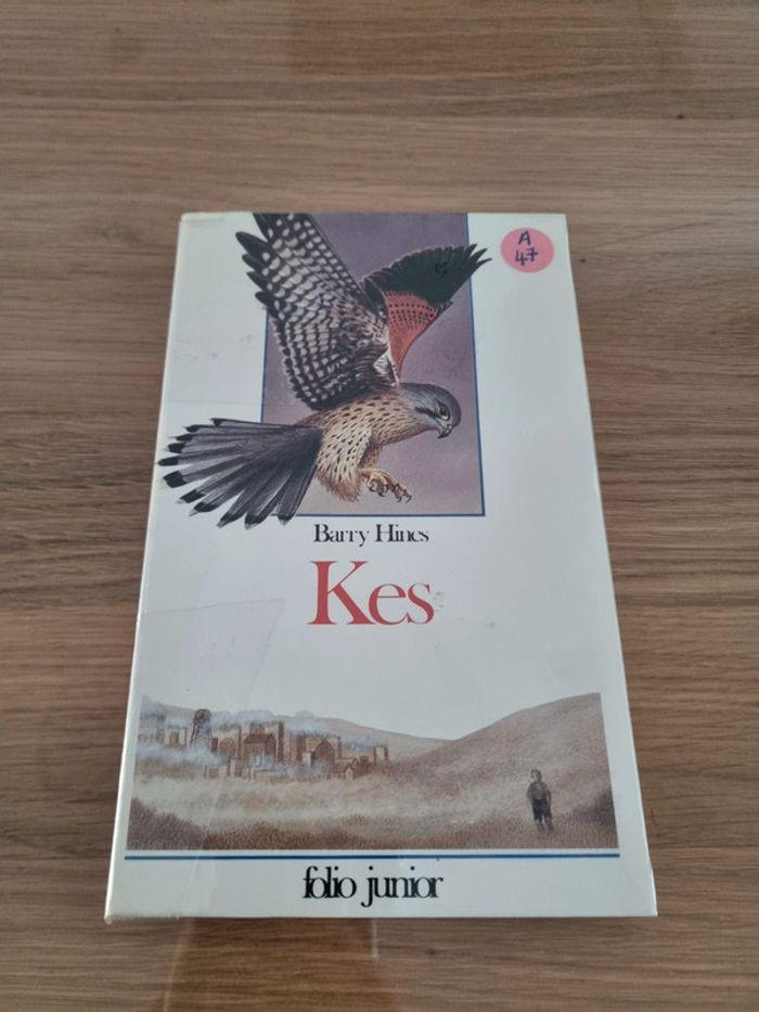 Livre Kes de Barry Hines - photo numéro 1