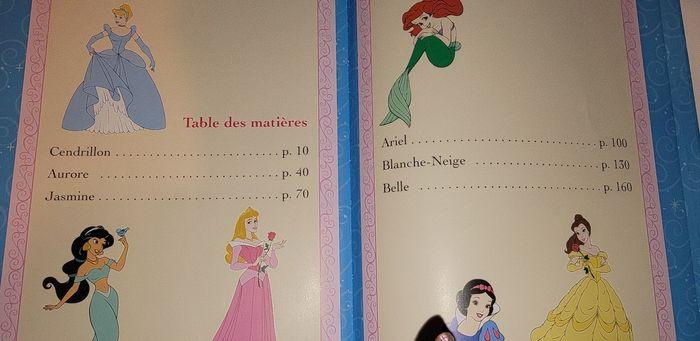 Livre nos vies de princesses - photo numéro 2