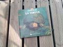 Livre : la tortue