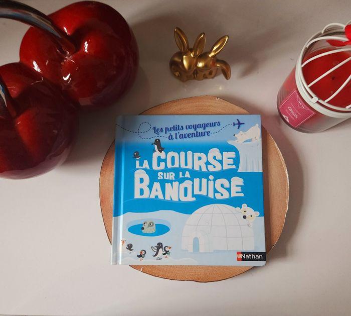 La course sur la banquise 🎄 - photo numéro 1