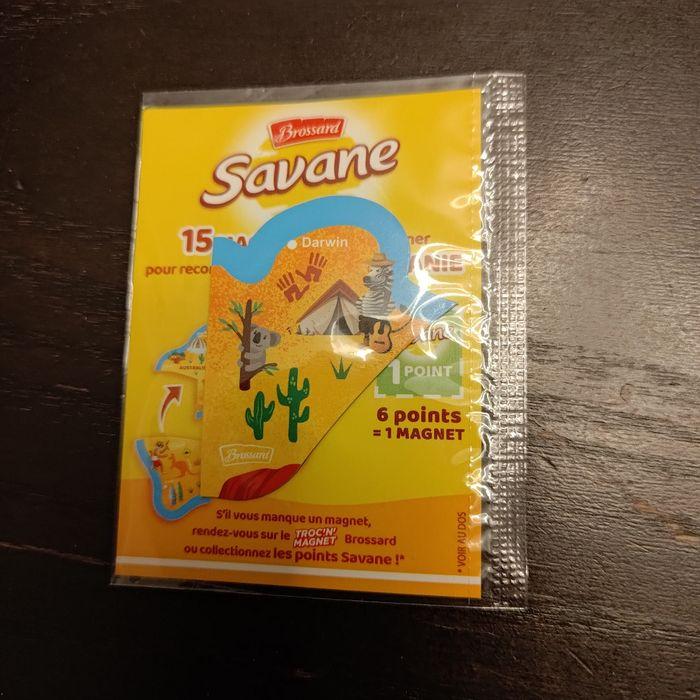 Magnet savane