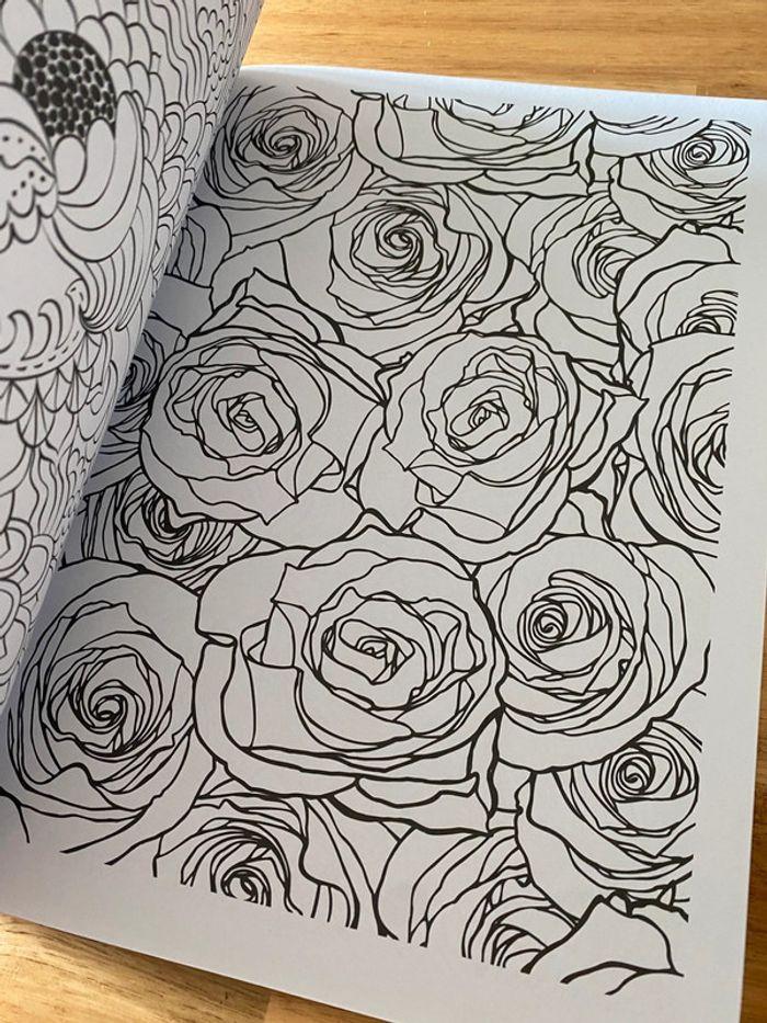 Magazine de coloriage pour adultes neuf - photo numéro 2