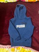 Pull puma