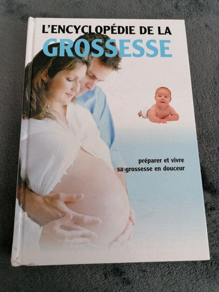 Livre L'encyclopédie de la grossesse - photo numéro 1