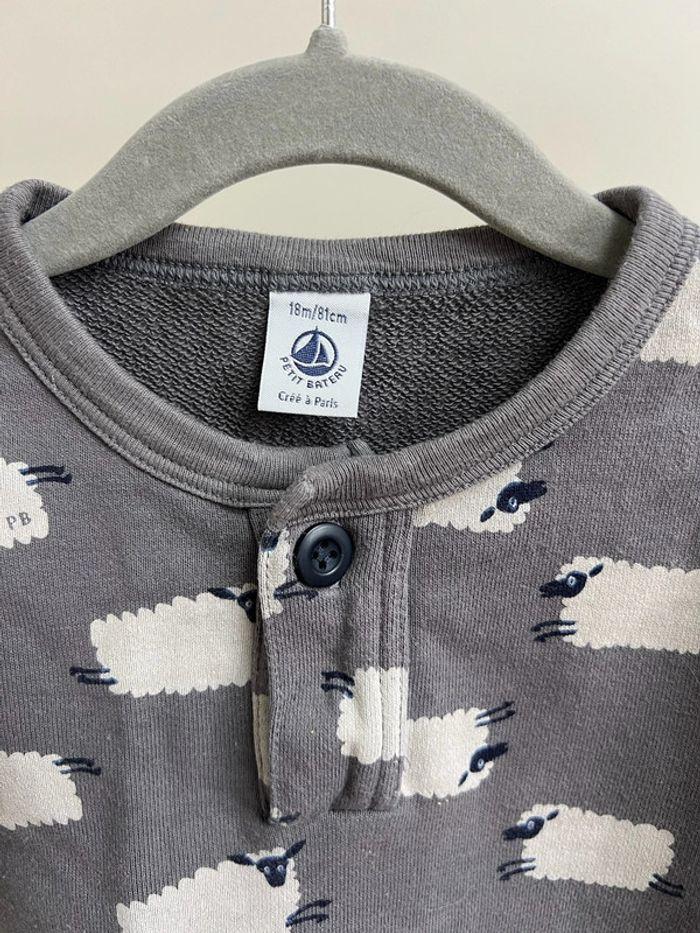 Sweat Petit bateau 18 mois - photo numéro 2