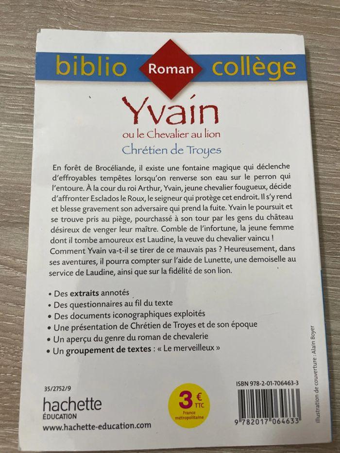 Yvain ou le chevalier au lion - photo numéro 2