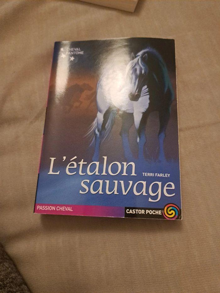 livre l'étalon sauvage - photo numéro 1