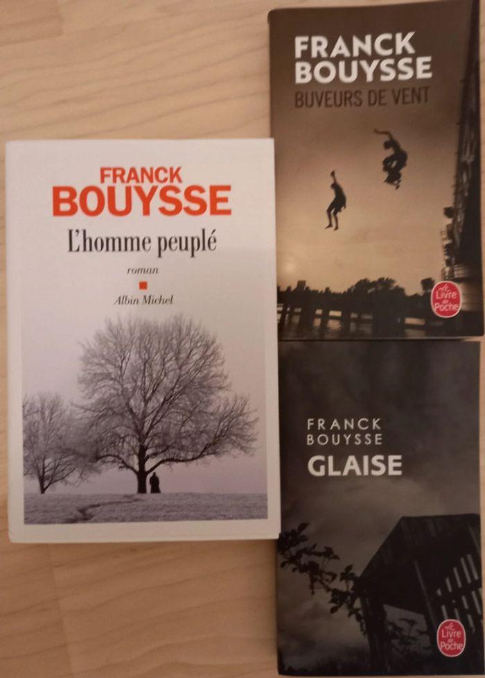 Livres de Franck Bouysse - photo numéro 1