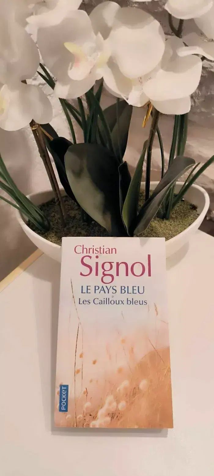 Le Pays Bleu Tome 1 - Les Cailloux Bleus - christian signol en tres bon etat - photo numéro 1