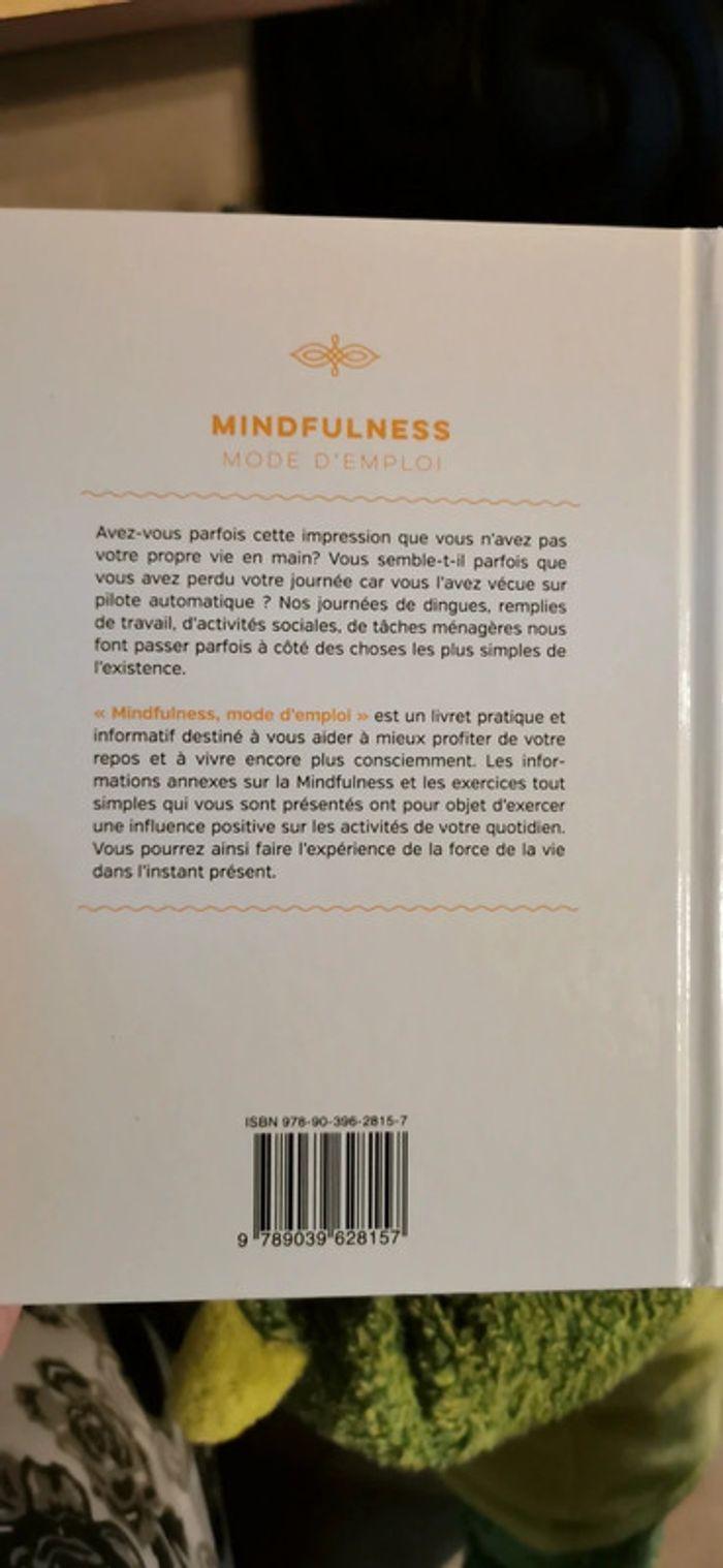 Mindfulness - photo numéro 2