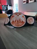 Ceinture wwe Word tag team champions Usos