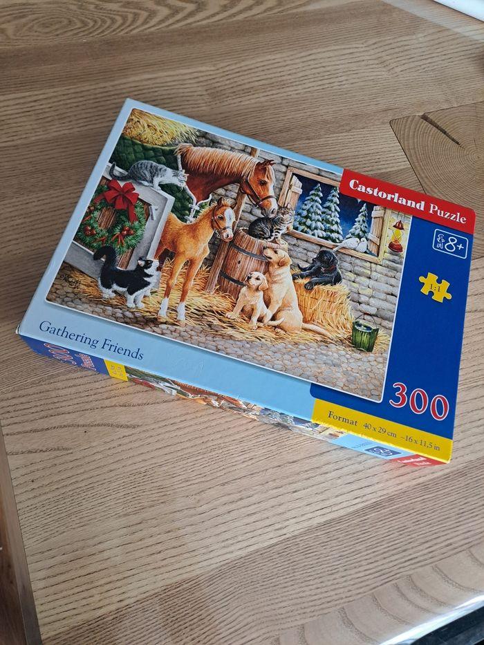 Puzzle 300 pièces - photo numéro 1