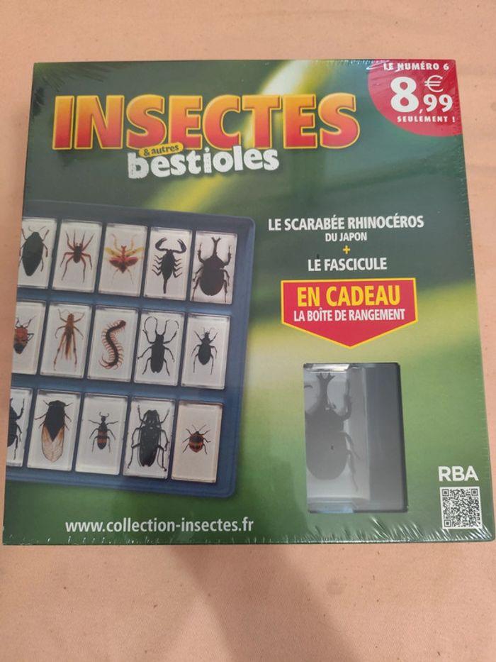 Insectes et autres bestioles n° 1.2.3.4.5.6.7 - photo numéro 6