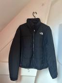 Veste the north face