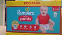 Couches Pampers trio pack baby dry pants taille 4