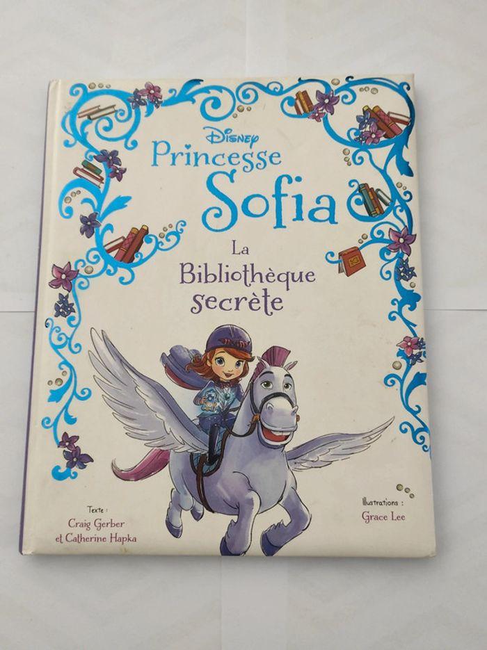 Livre Disney Princesse Sofia - photo numéro 1