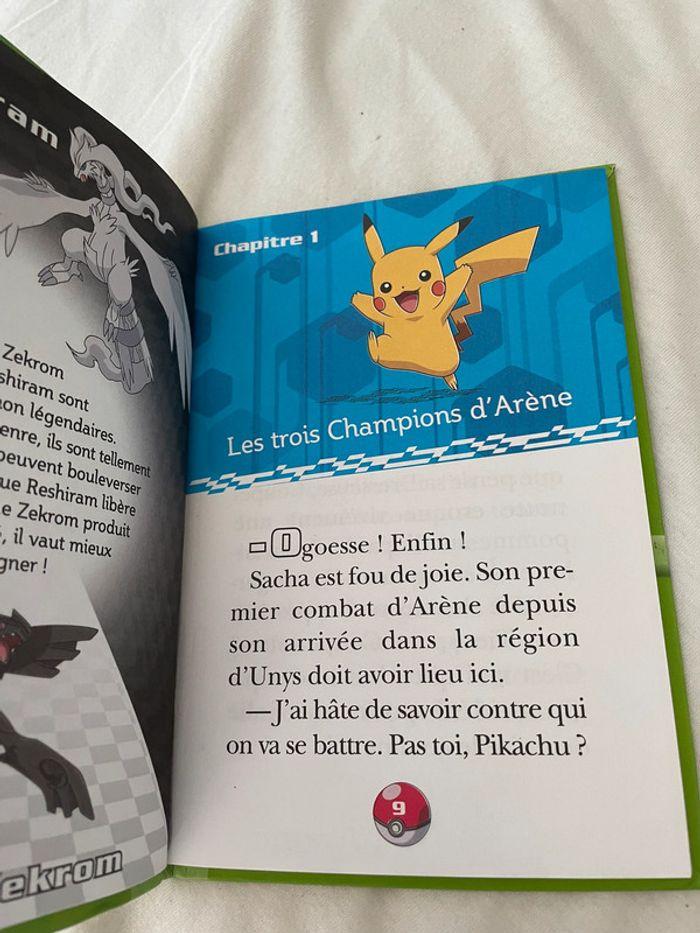 livre pokemon - photo numéro 3