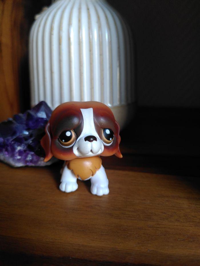 Chien Littlest PetShop #229 - photo numéro 1