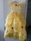 Robe de princesse Disney