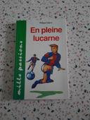 Livre: En pleine lucarne de Philippe Delerm